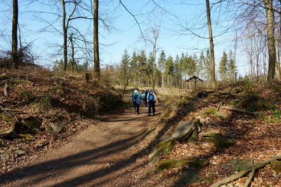 Bergan zum Kammweg  (Bild vergr&ouml;&szlig;ern)