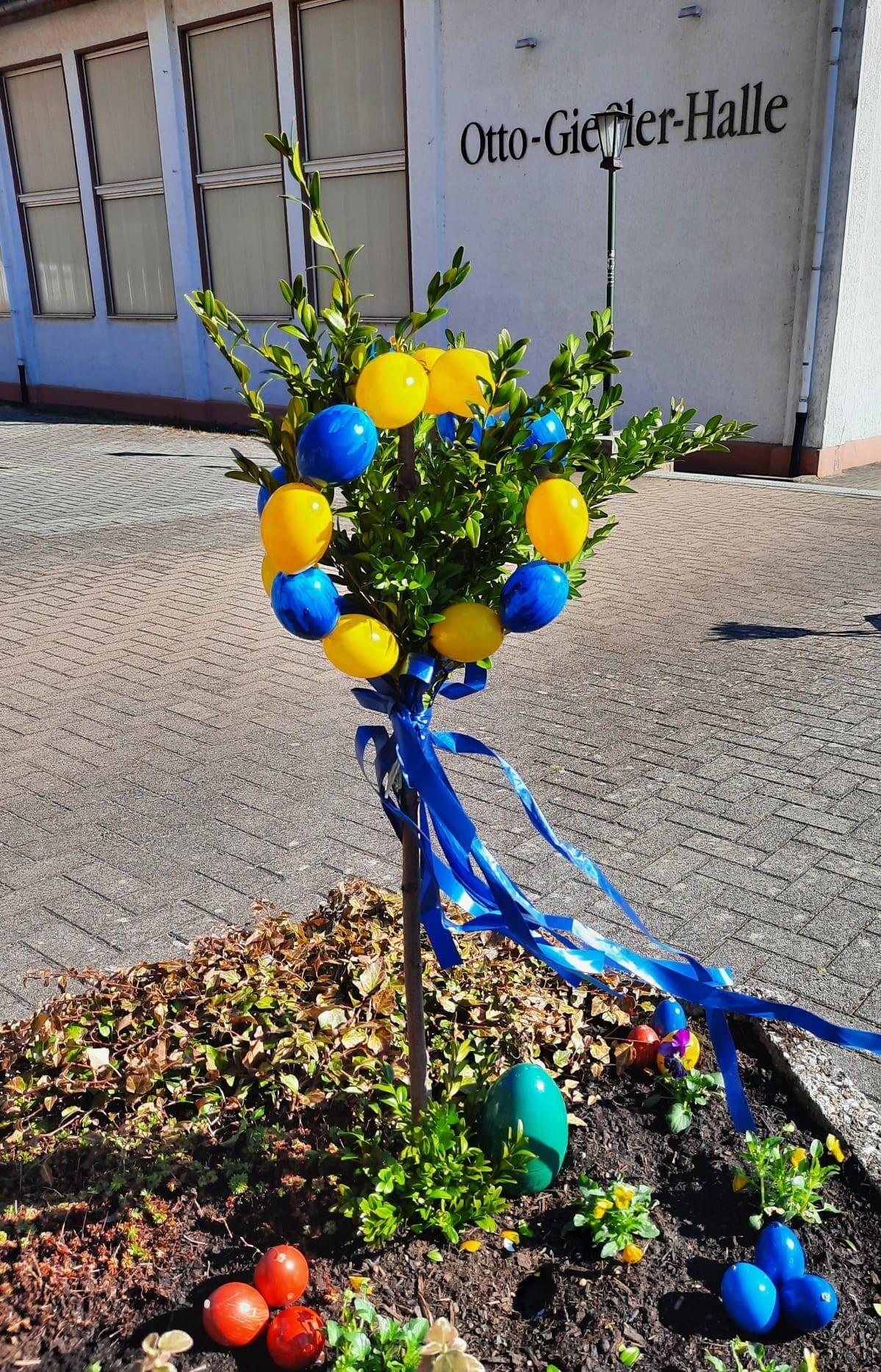 Bild der Galerie