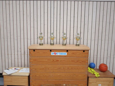 Foto des Albums: Zweifelderballturnier 2022