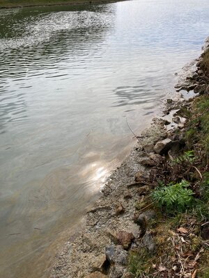 Foto des Albums: 2022-04-03-Einsatz_1