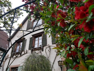 Foto des Albums: Eurosymposium 2022 in Oberwolfach