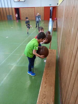 Foto des Albums: Kraft und Ausdauer im Sport