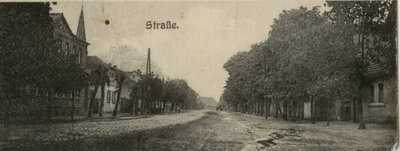 Foto des Albums: Historische Bilder aus Scharlibbe