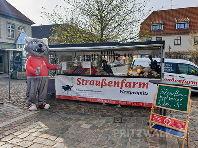 Foto des Albums: Wolf und Hasen machten den Markt unsicher