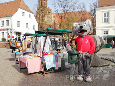 Foto des Albums: Wolf und Hasen machten den Markt unsicher