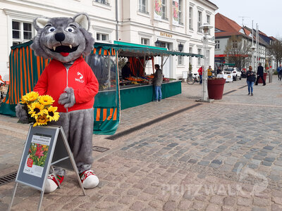 Foto des Albums: Wolf und Hasen machten den Markt unsicher