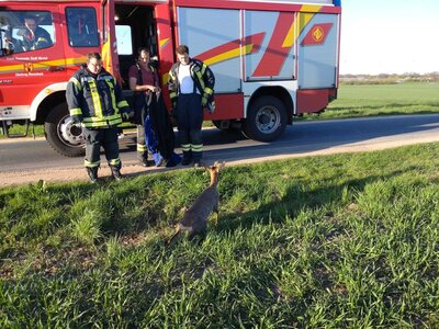 Foto des Albums: Tierrettung