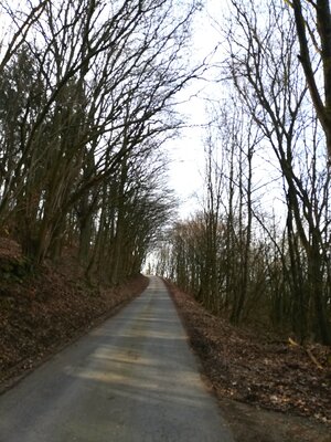 Foto des Albums: Goldkronach Humboldt-/Geoweg Variante