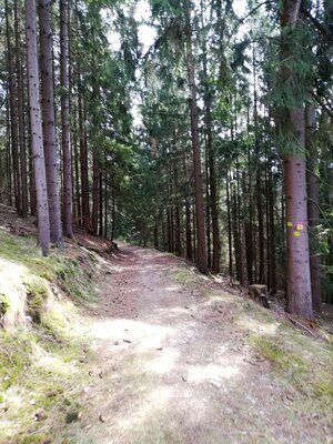 Foto des Albums: Goldkronach Humboldt-/Geoweg Variante