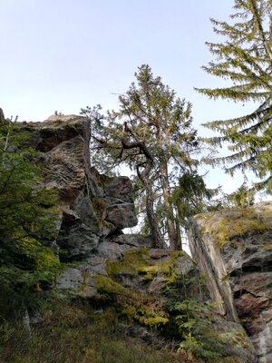 Foto des Albums: Goldkronach Humboldt-/Geoweg Variante