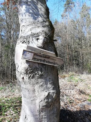Foto des Albums: Rundwanderung von Speinshart Süßenweiher über die Himmelsleiter um den Scheckenberg