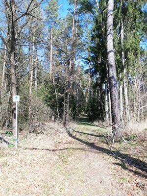 Foto des Albums: Rundwanderung von Speinshart Süßenweiher über die Himmelsleiter um den Scheckenberg
