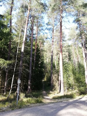 Foto des Albums: Rundwanderung von Speinshart Süßenweiher über die Himmelsleiter um den Scheckenberg