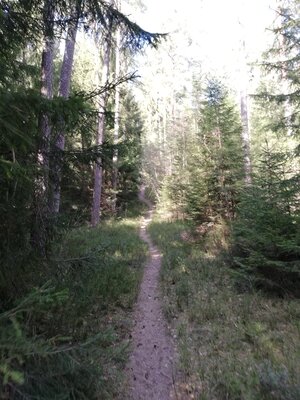 Foto des Albums: Rundwanderung von Speinshart Süßenweiher über die Himmelsleiter um den Scheckenberg