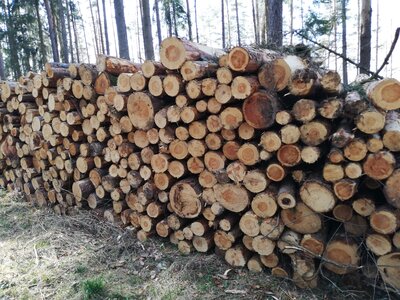 Foto des Albums: Rundwanderung von Speinshart Süßenweiher über die Himmelsleiter um den Scheckenberg