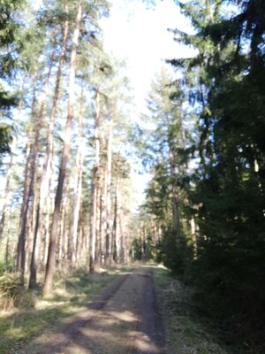 Foto des Albums: Rundwanderung von Speinshart Süßenweiher über die Himmelsleiter um den Scheckenberg
