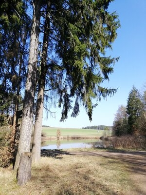 Foto des Albums: Rundwanderung von Speinshart Süßenweiher über die Himmelsleiter um den Scheckenberg
