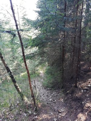 Foto des Albums: Rundwanderung von Speinshart Süßenweiher über die Himmelsleiter um den Scheckenberg