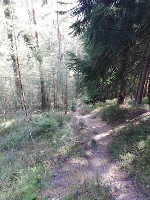 Foto des Albums: Rundwanderung von Speinshart Süßenweiher über die Himmelsleiter um den Scheckenberg