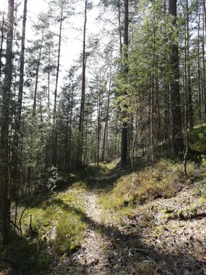 Foto des Albums: Rundwanderung von Speinshart Süßenweiher über die Himmelsleiter um den Scheckenberg