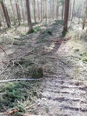 Foto des Albums: Rundwanderung von Speinshart Süßenweiher über die Himmelsleiter um den Scheckenberg
