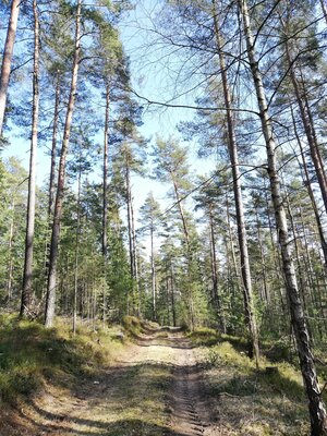 Foto des Albums: Rundwanderung von Speinshart Süßenweiher über die Himmelsleiter um den Scheckenberg
