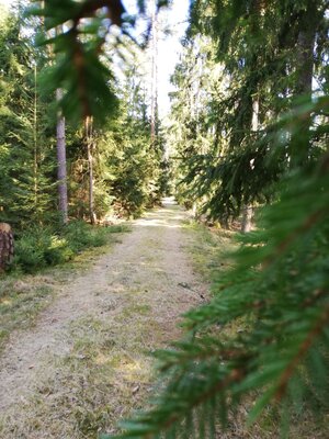 Foto des Albums: Rundwanderung von Speinshart Süßenweiher über die Himmelsleiter um den Scheckenberg