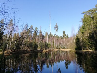Foto des Albums: Rundwanderung von Speinshart Süßenweiher über die Himmelsleiter um den Scheckenberg