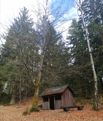 Foto des Albums: Rundwanderung Burg Epprechtstein, Wolfsfelsbruch, Braurangenbruch und Labyrinth