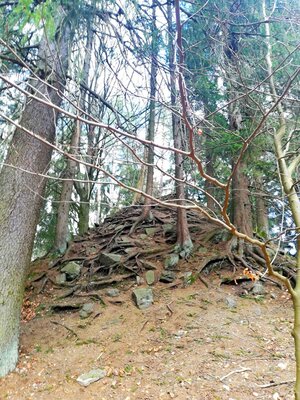 Foto des Albums: Rundwanderung Burg Epprechtstein, Wolfsfelsbruch, Braurangenbruch und Labyrinth
