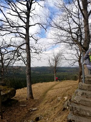 Foto des Albums: Rundwanderung Burg Epprechtstein, Wolfsfelsbruch, Braurangenbruch und Labyrinth