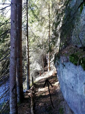 Foto des Albums: Rundwanderung Burg Epprechtstein, Wolfsfelsbruch, Braurangenbruch und Labyrinth