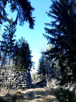Foto des Albums: Rundwanderung Burg Epprechtstein, Wolfsfelsbruch, Braurangenbruch und Labyrinth
