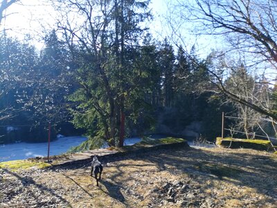 Foto des Albums: Rundwanderung Burg Epprechtstein, Wolfsfelsbruch, Braurangenbruch und Labyrinth