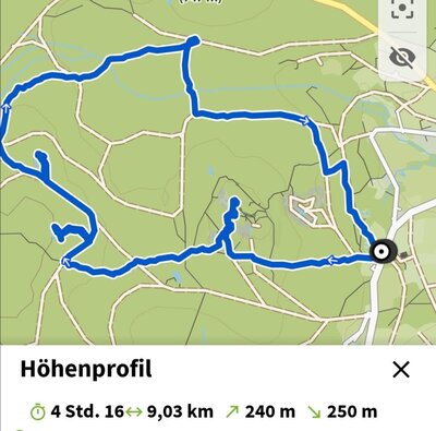 Foto des Albums: Rundwanderung Burg Epprechtstein, Wolfsfelsbruch, Braurangenbruch und Labyrinth