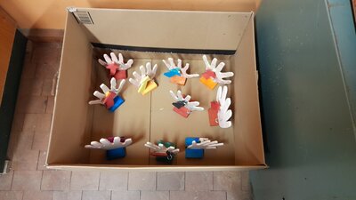 Foto des Albums: Aus den Projekten