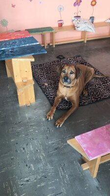 Foto des Albums: Aus den Projekten