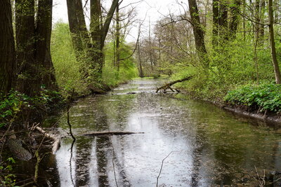 Hermann-L&ouml;ns-Park  (Bild vergr&ouml;&szlig;ern)