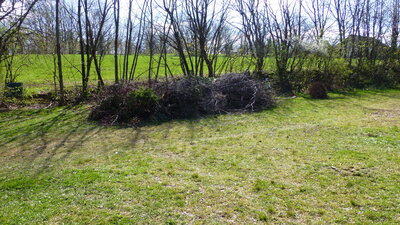 Foto des Albums: Osterfeuer Bolzplatz 2022