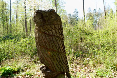 Kunst im Wald  (Bild vergr&ouml;&szlig;ern)