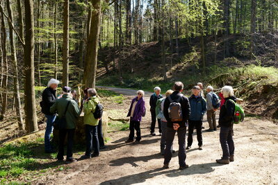 Rast am Teich  (Bild vergr&ouml;&szlig;ern)
