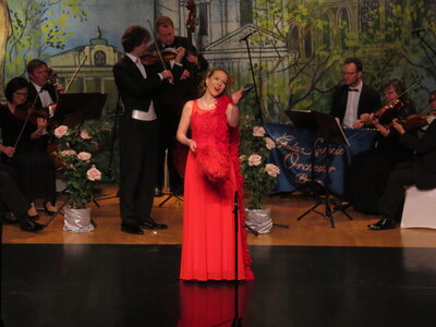 Foto des Albums: Traummelodien der Operette