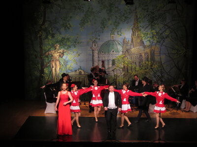 Foto des Albums: Traummelodien der Operette