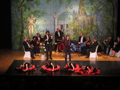 Foto des Albums: Traummelodien der Operette