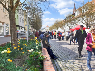 Foto des Albums: 20. Anradeln und Pritzwalker Frühlingserwachen (1)