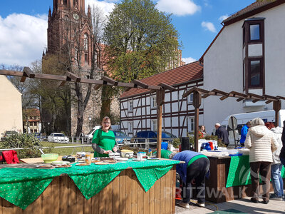 Foto des Albums: 20. Anradeln und Pritzwalker Frühlingserwachen (1)