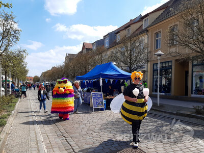 Foto des Albums: 20. Anradeln und Pritzwalker Frühlingserwachen (1)