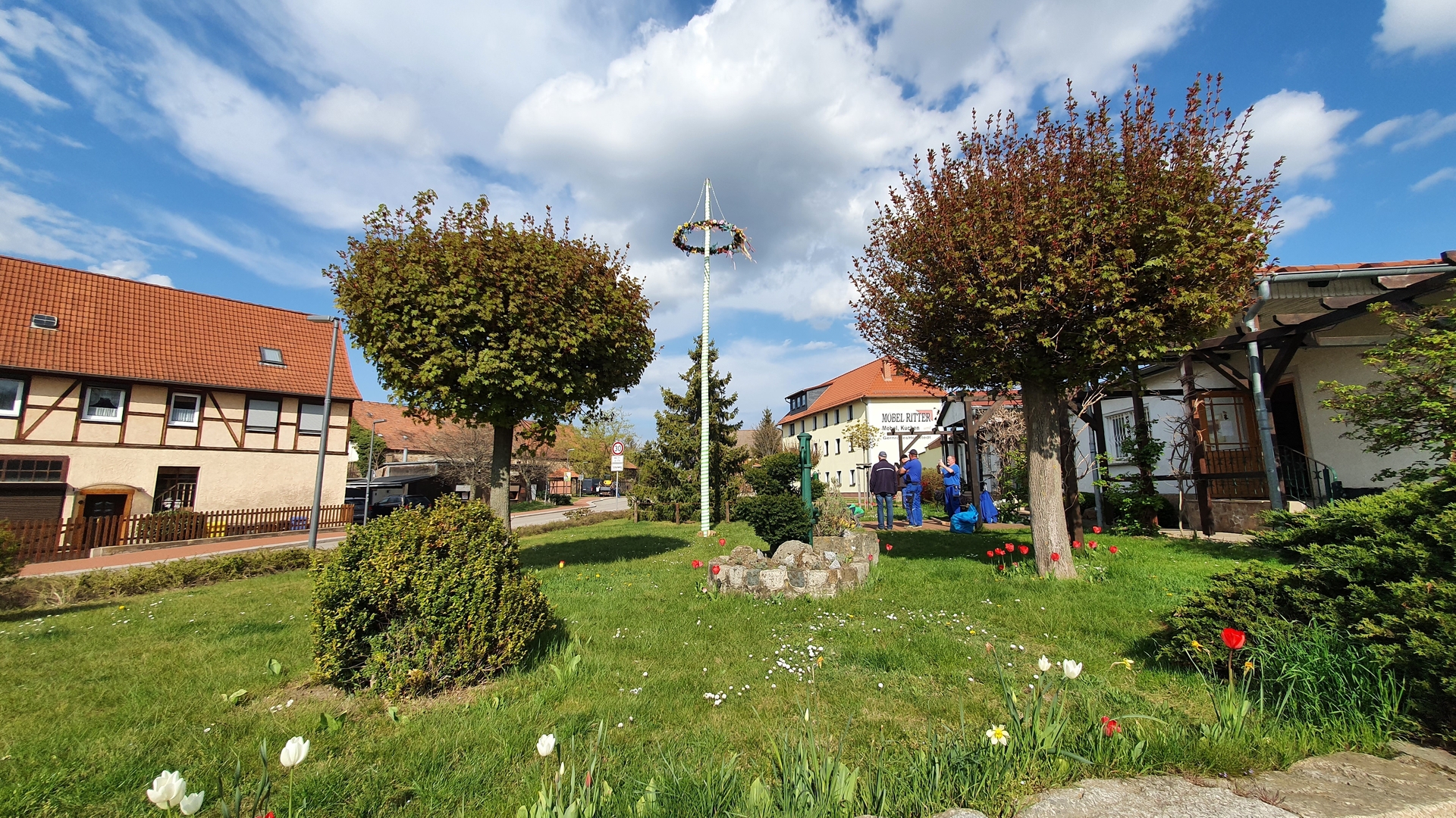 Bild : Der Maibaum steht