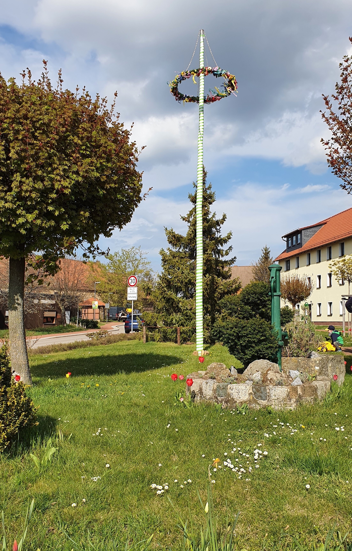Bild : Maibaum ist ausgerichtet