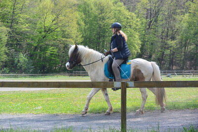 Foto des Albums: Reitkurs Shirin 2022